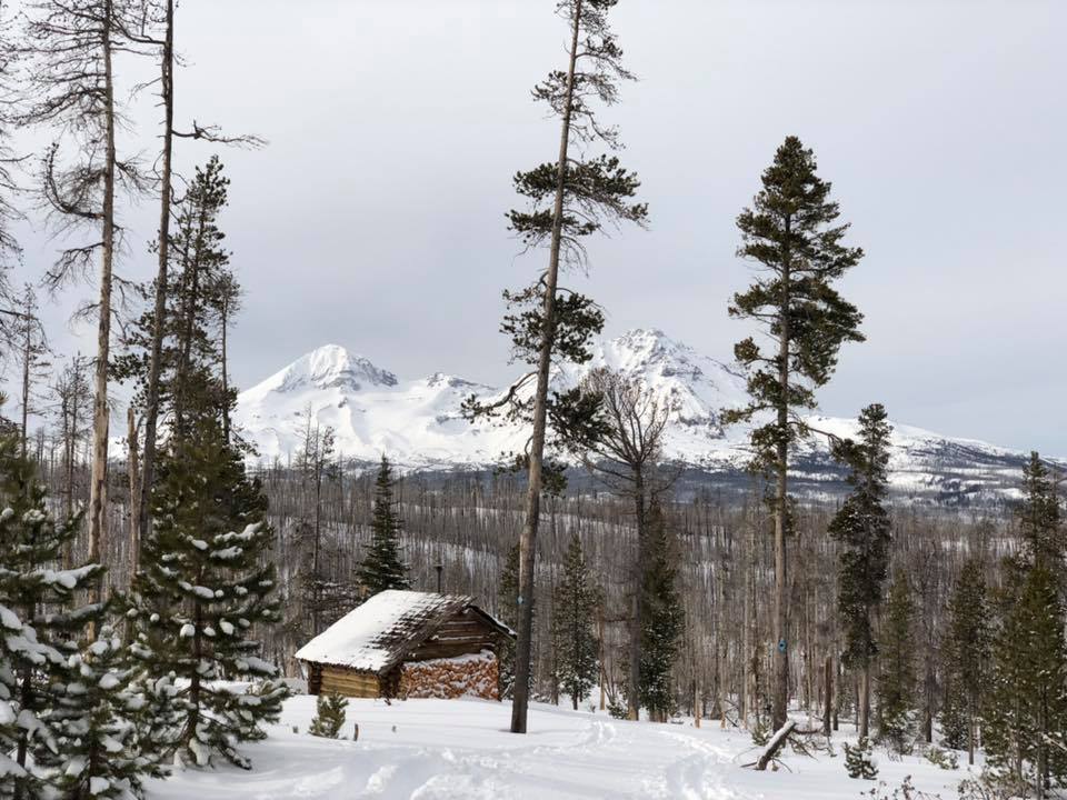 threecreeksinthesnow